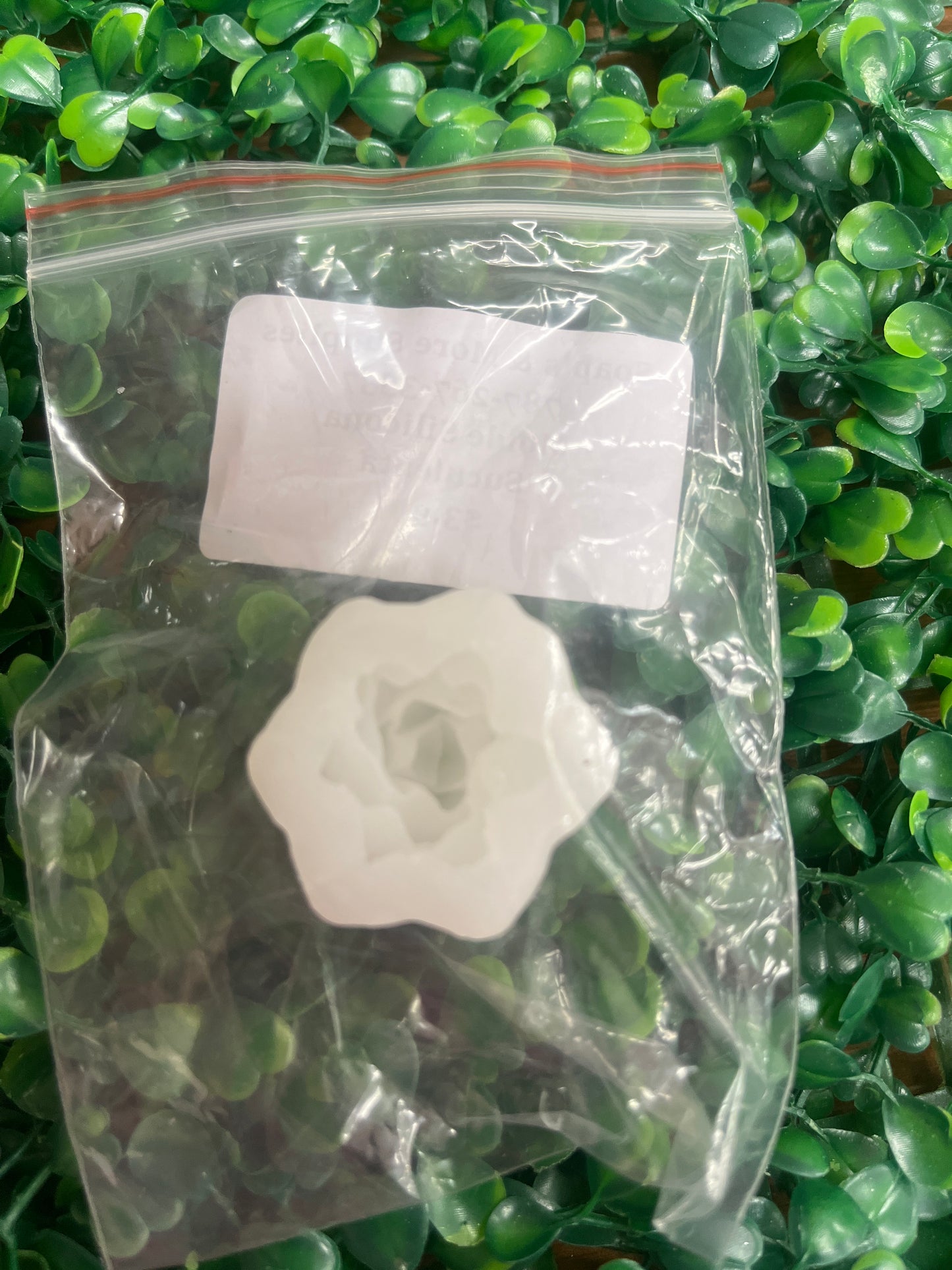 Molde silicona Suculenta