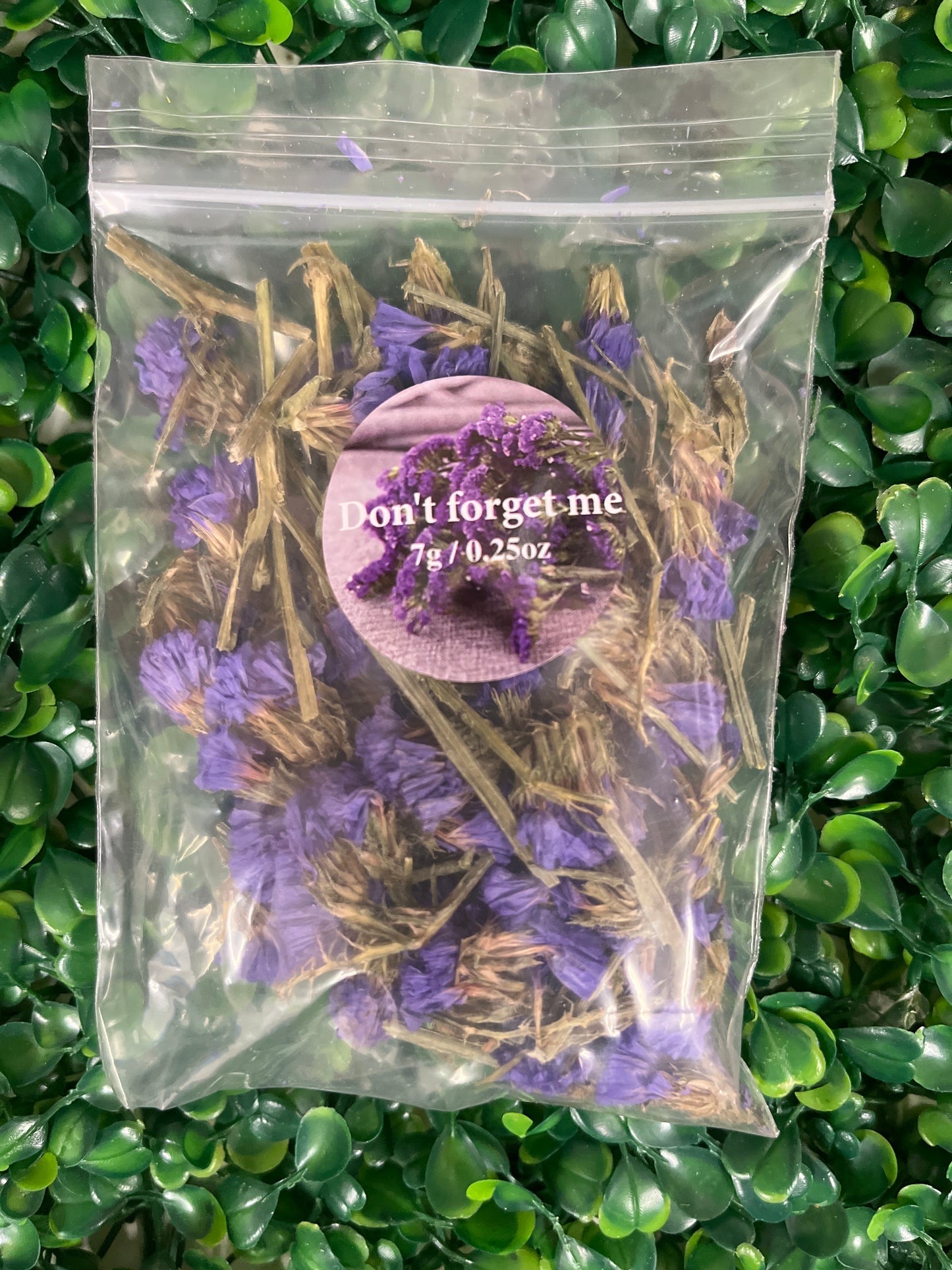 Flores Secas Don’t Forget Me