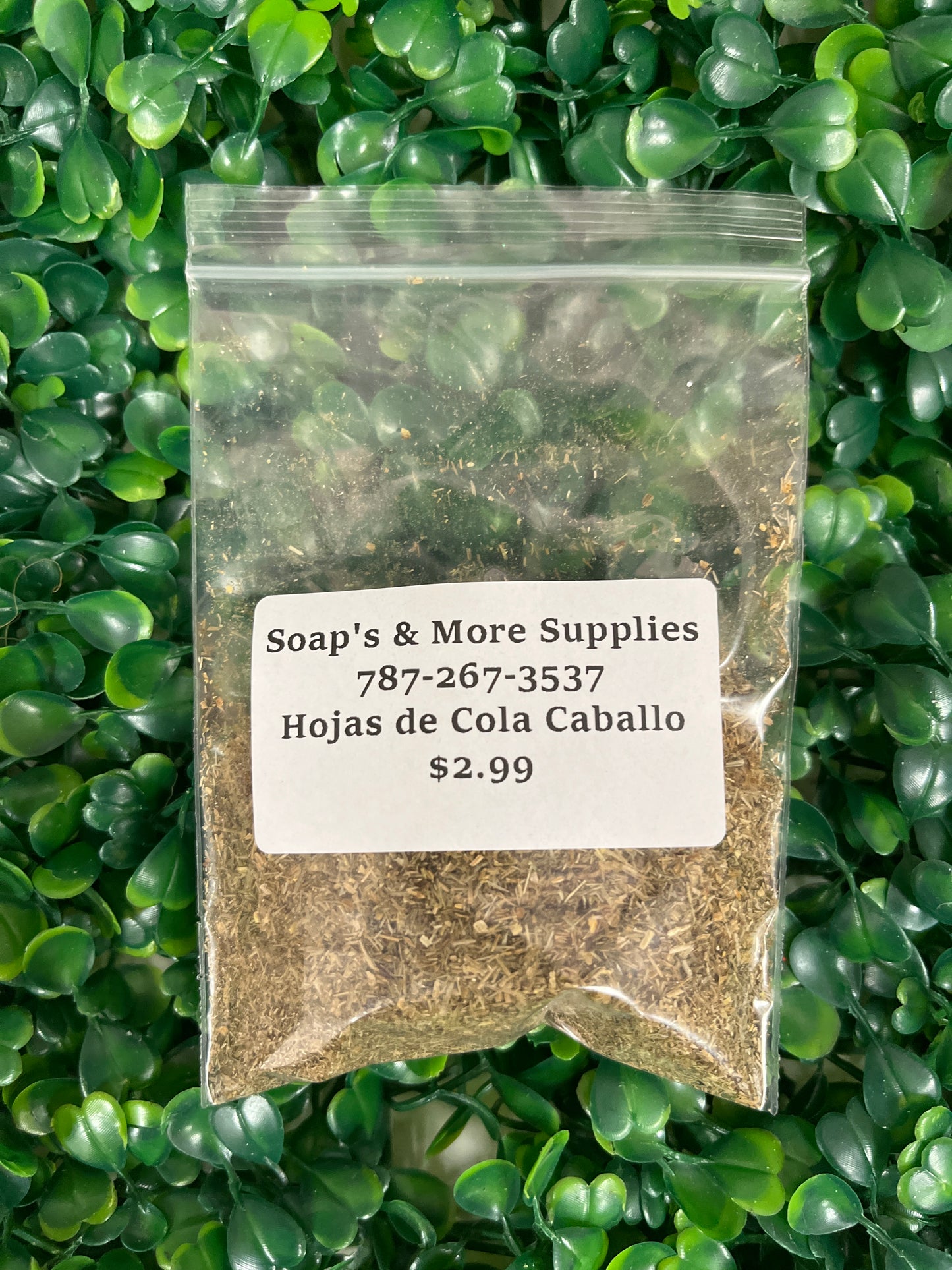 Hojas de Cola de Caballo