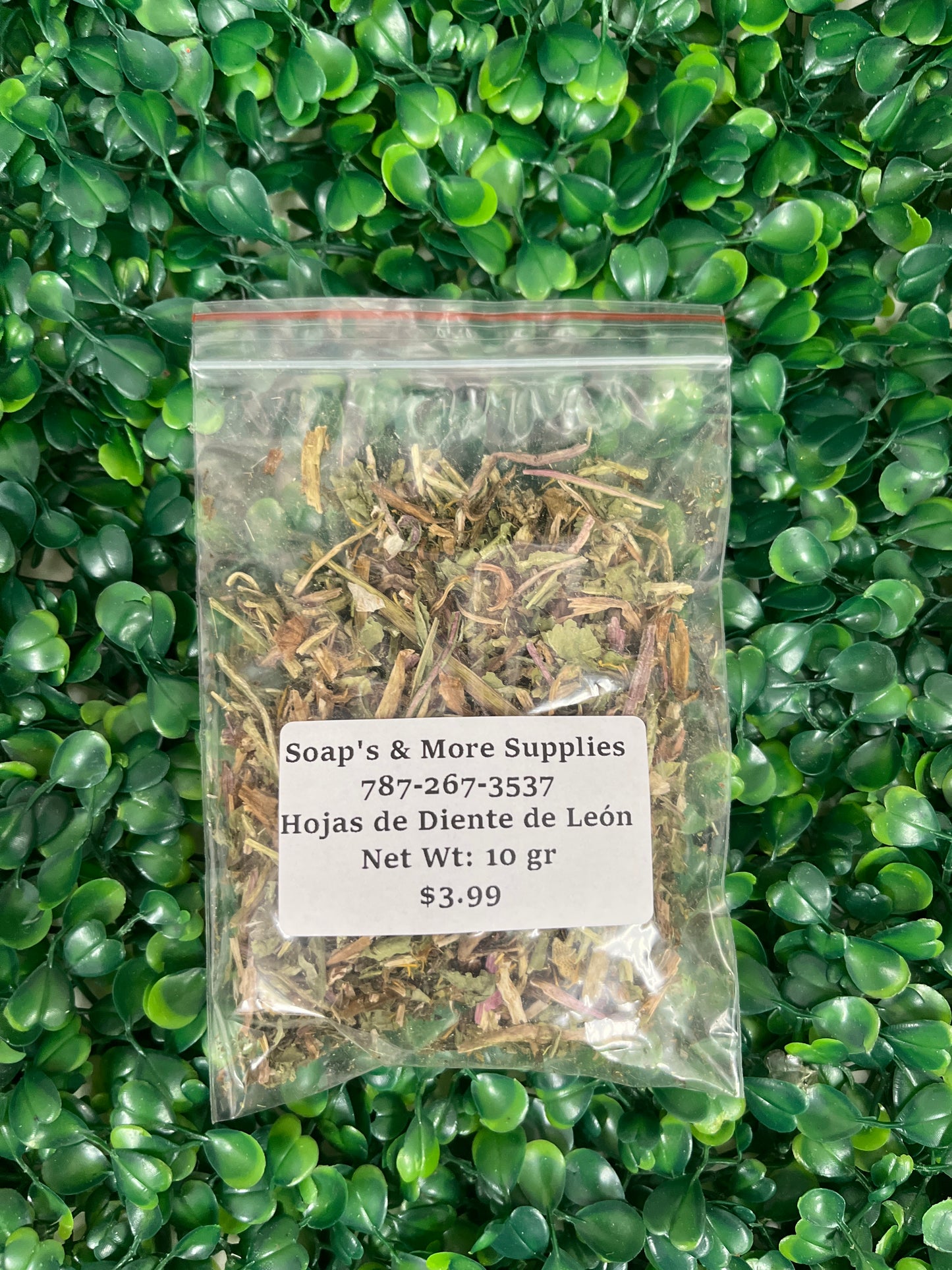 Hojas de Diente de León