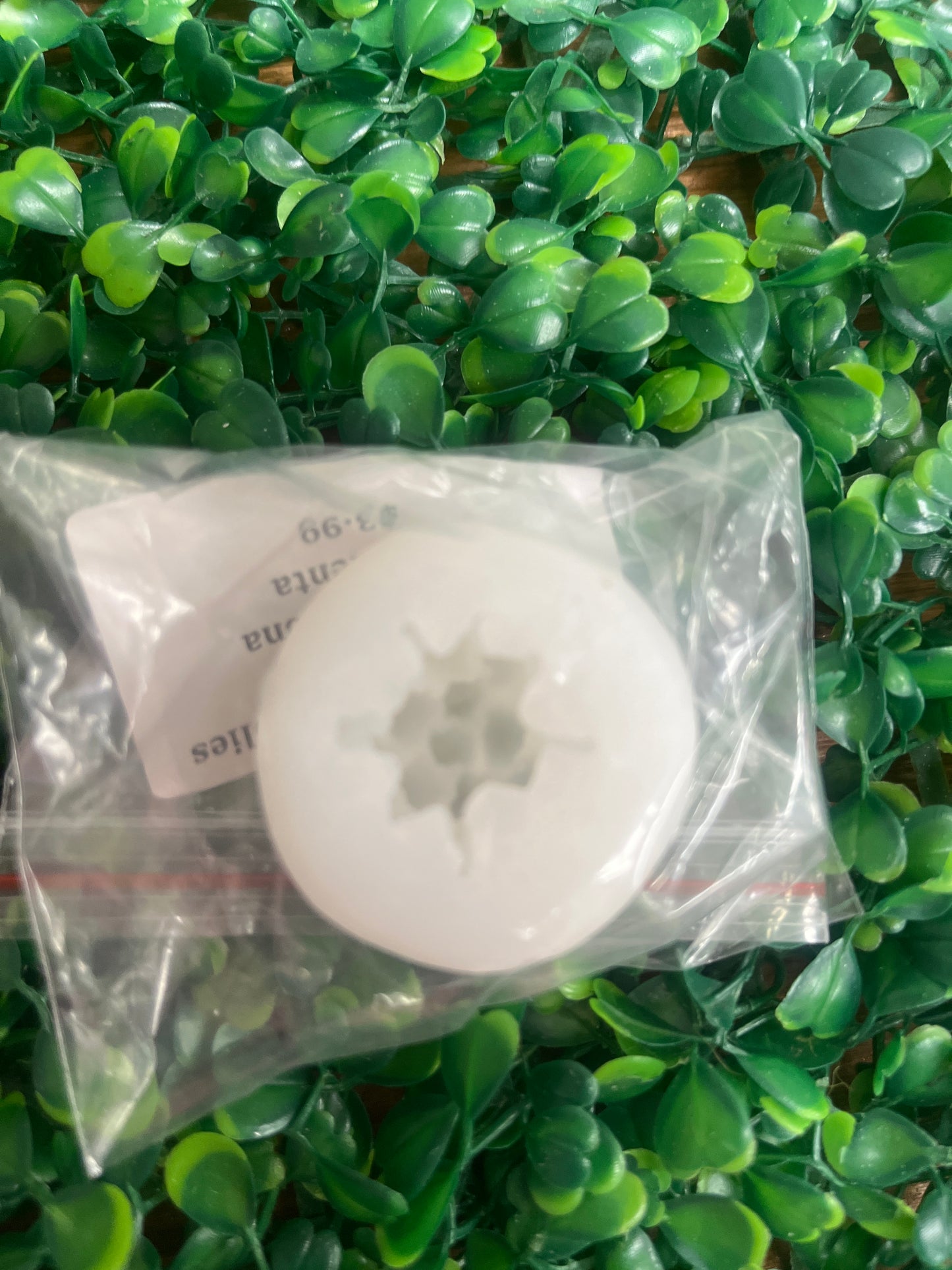 Molde silicona Suculenta