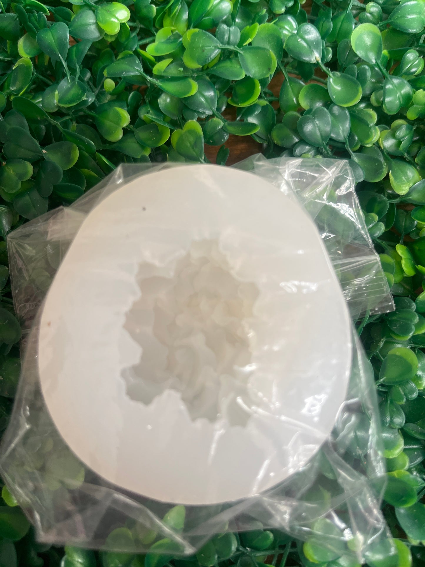 Molde silicona Suculenta (grande)