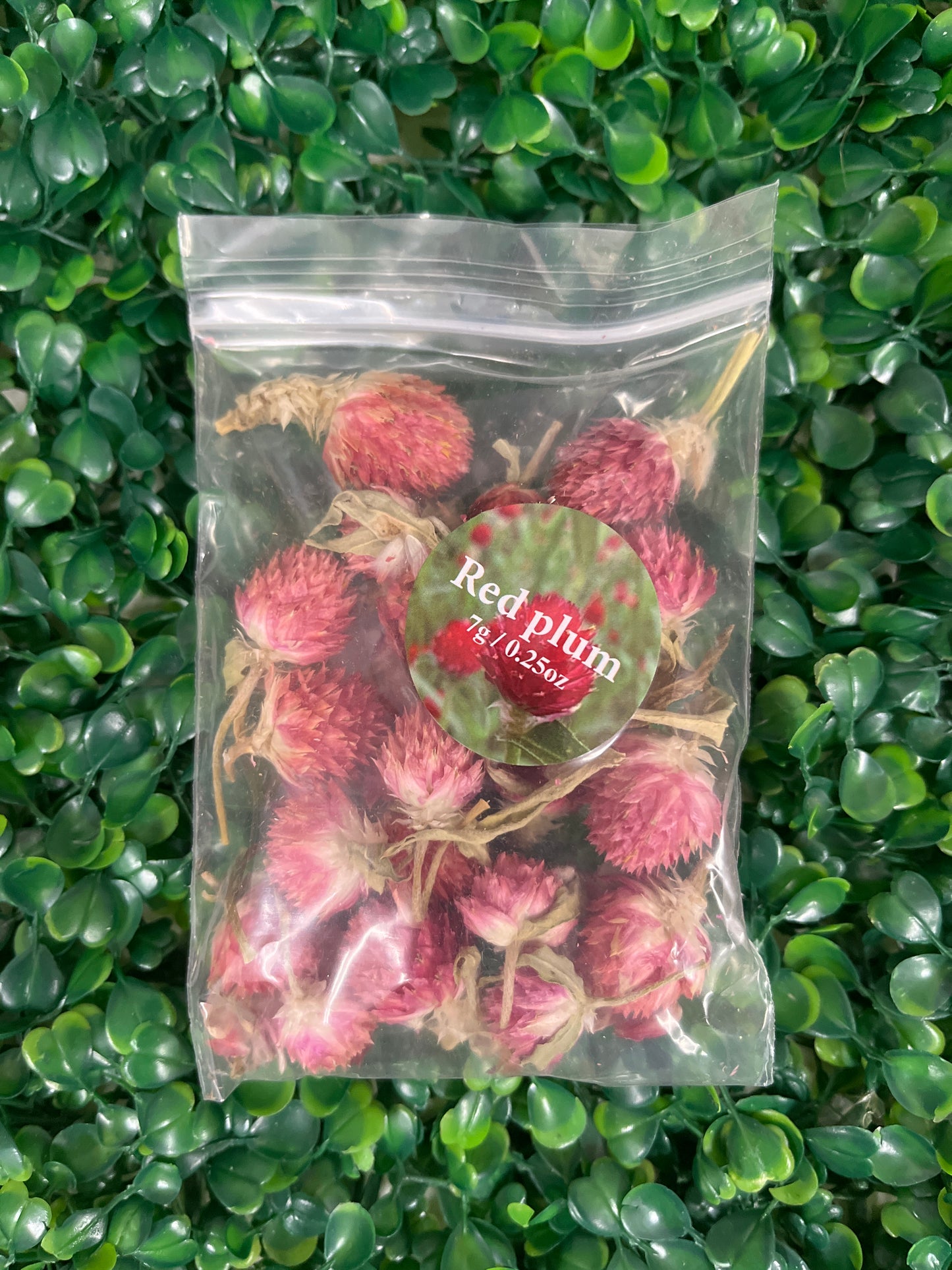 Flores Secas Red Plum