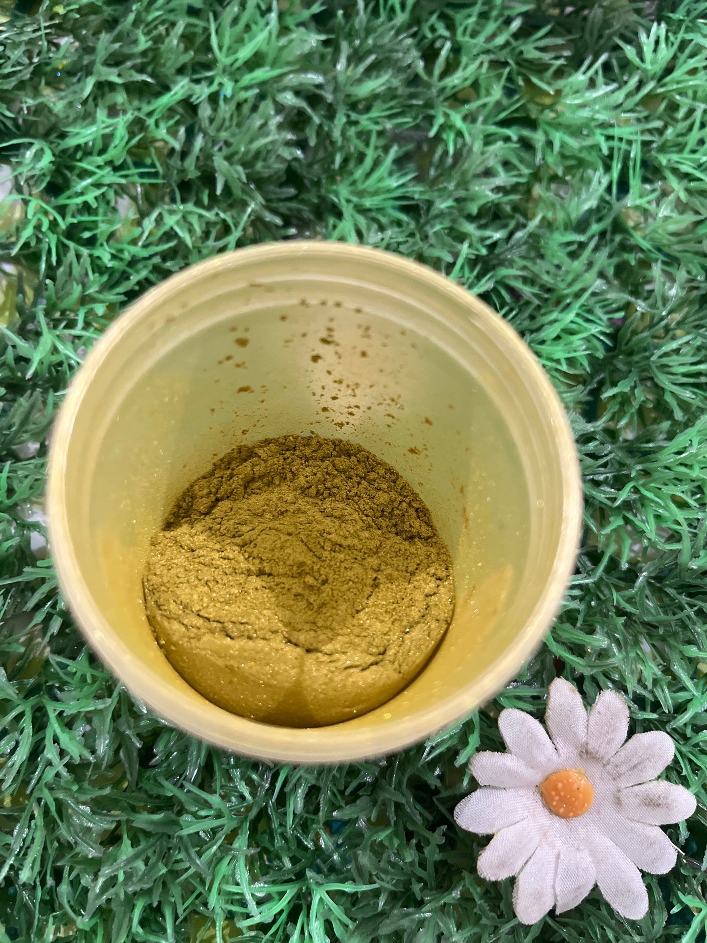 The adamant olive mica