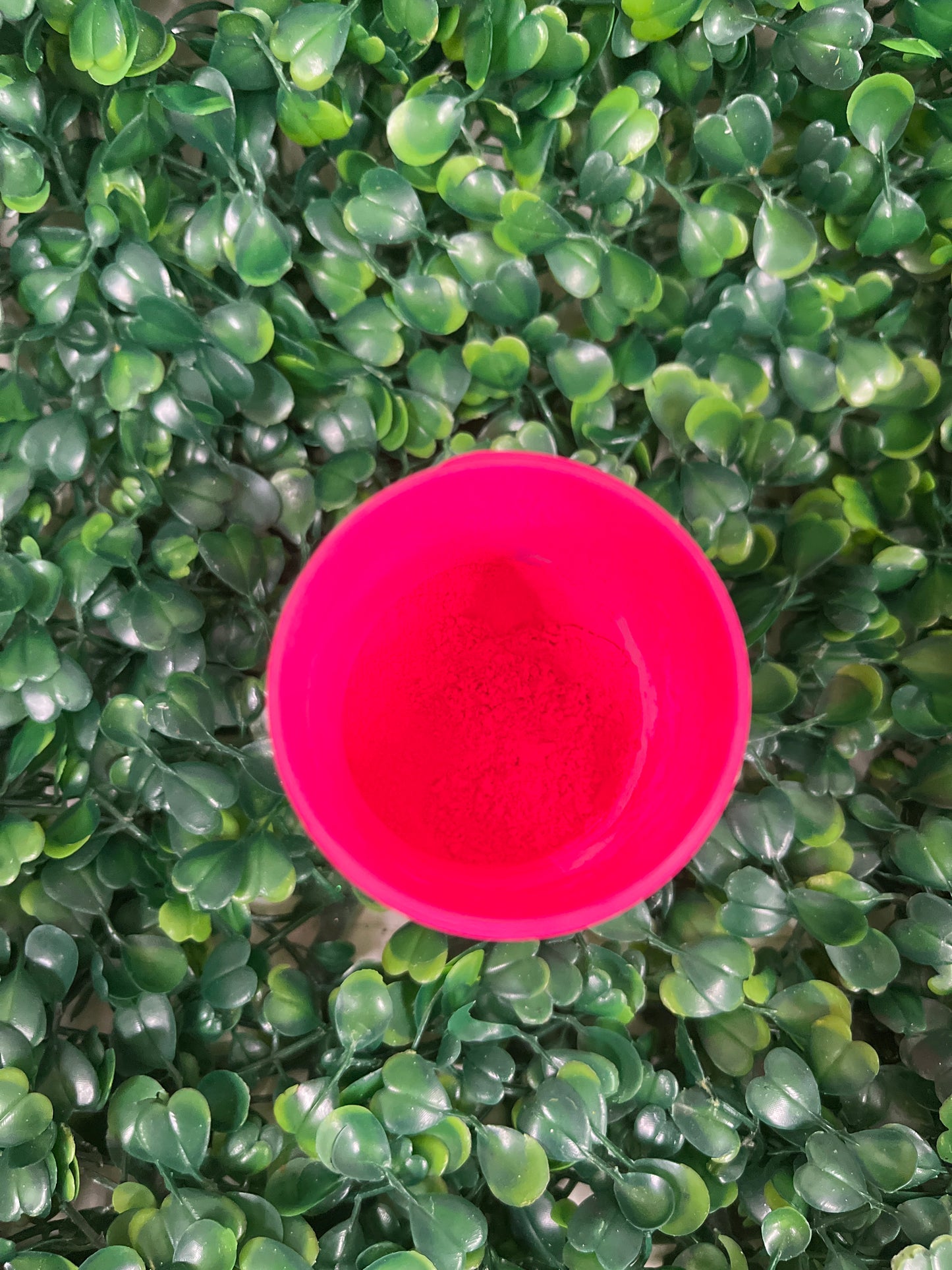 NS Neon Pink Pigment