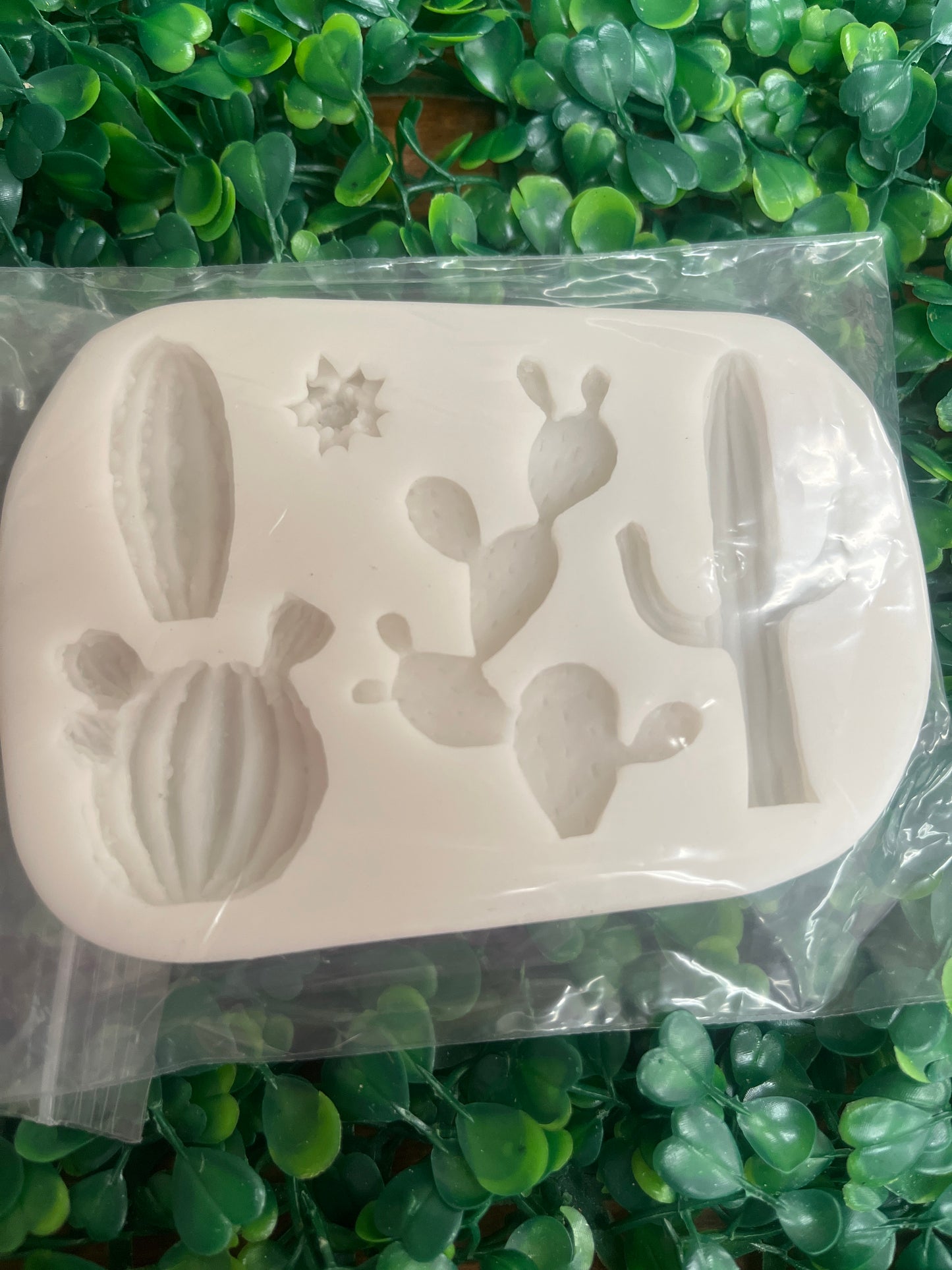 Molde silicona Cactus