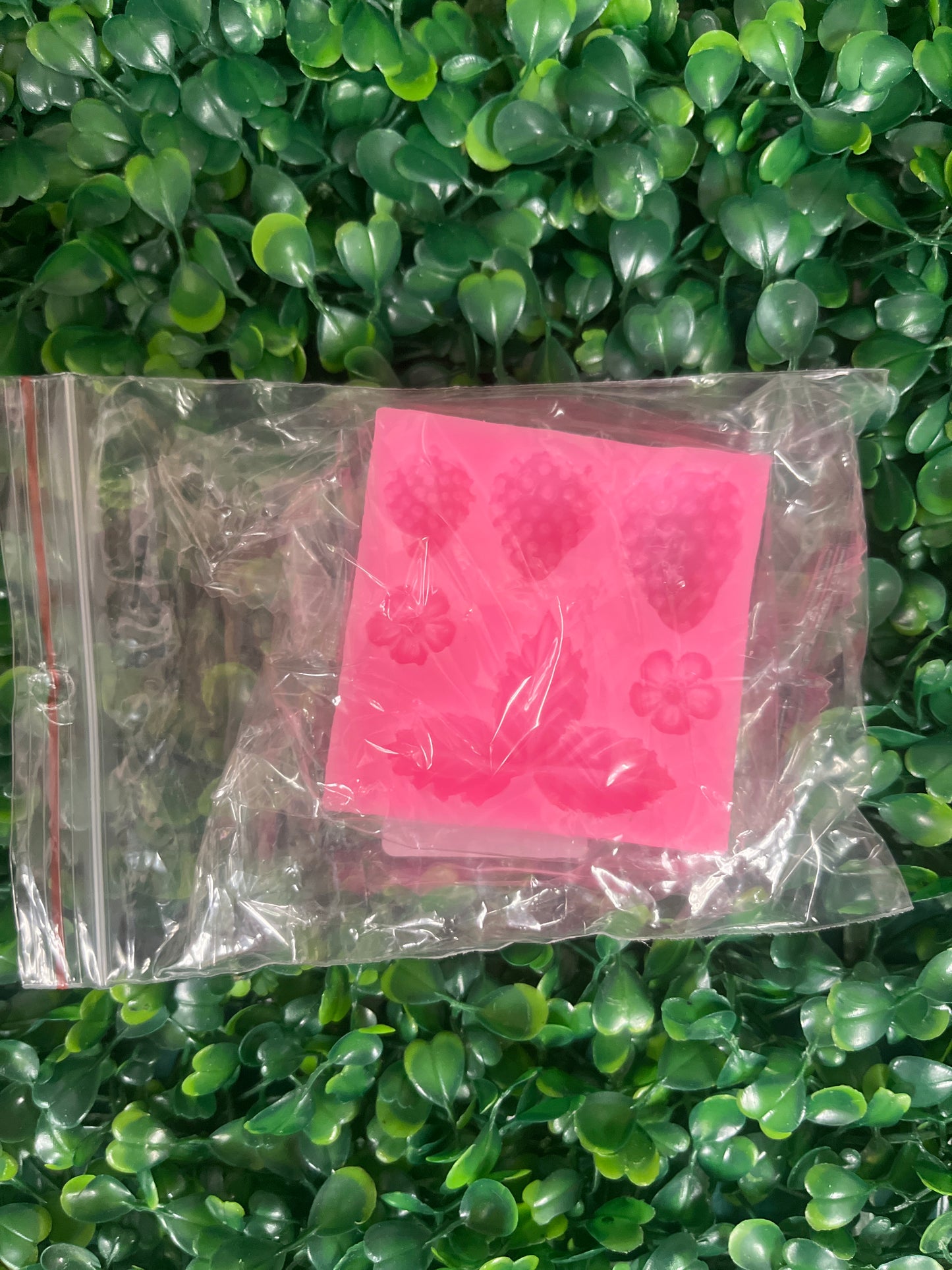 Molde de silicona fresas y hojas