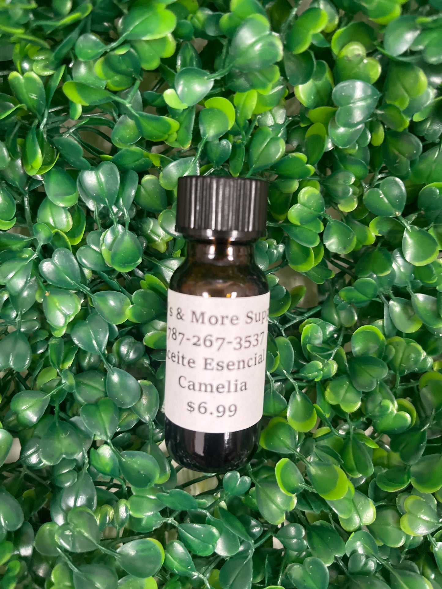 Aceite Esencial Camelia
