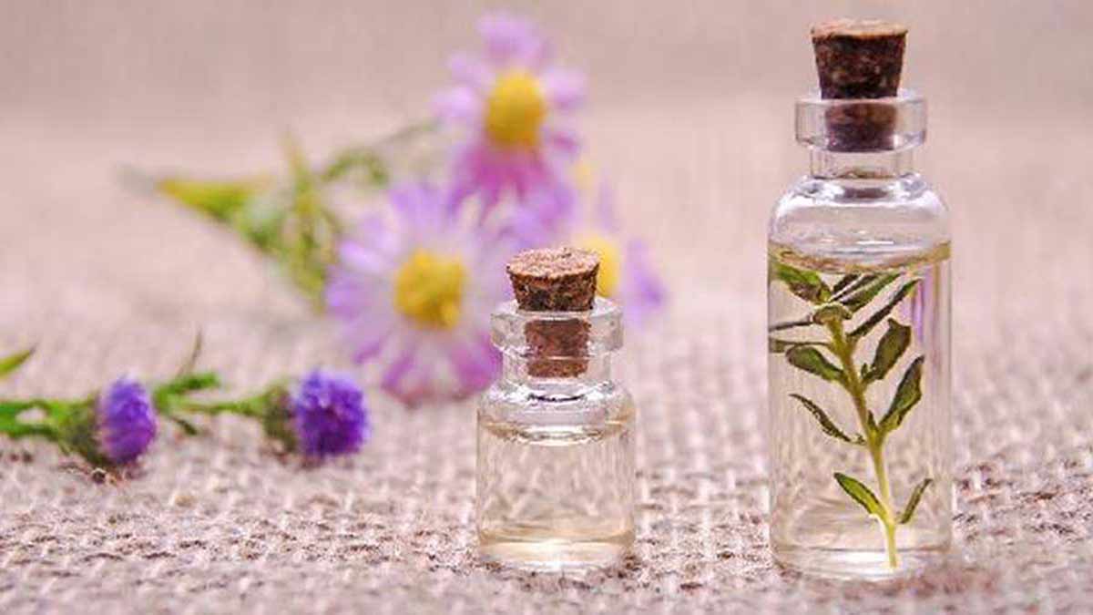 Taller Perfumería Artesanal