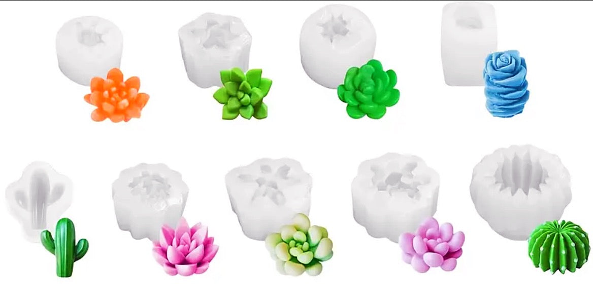 Set moldes velas suculentas