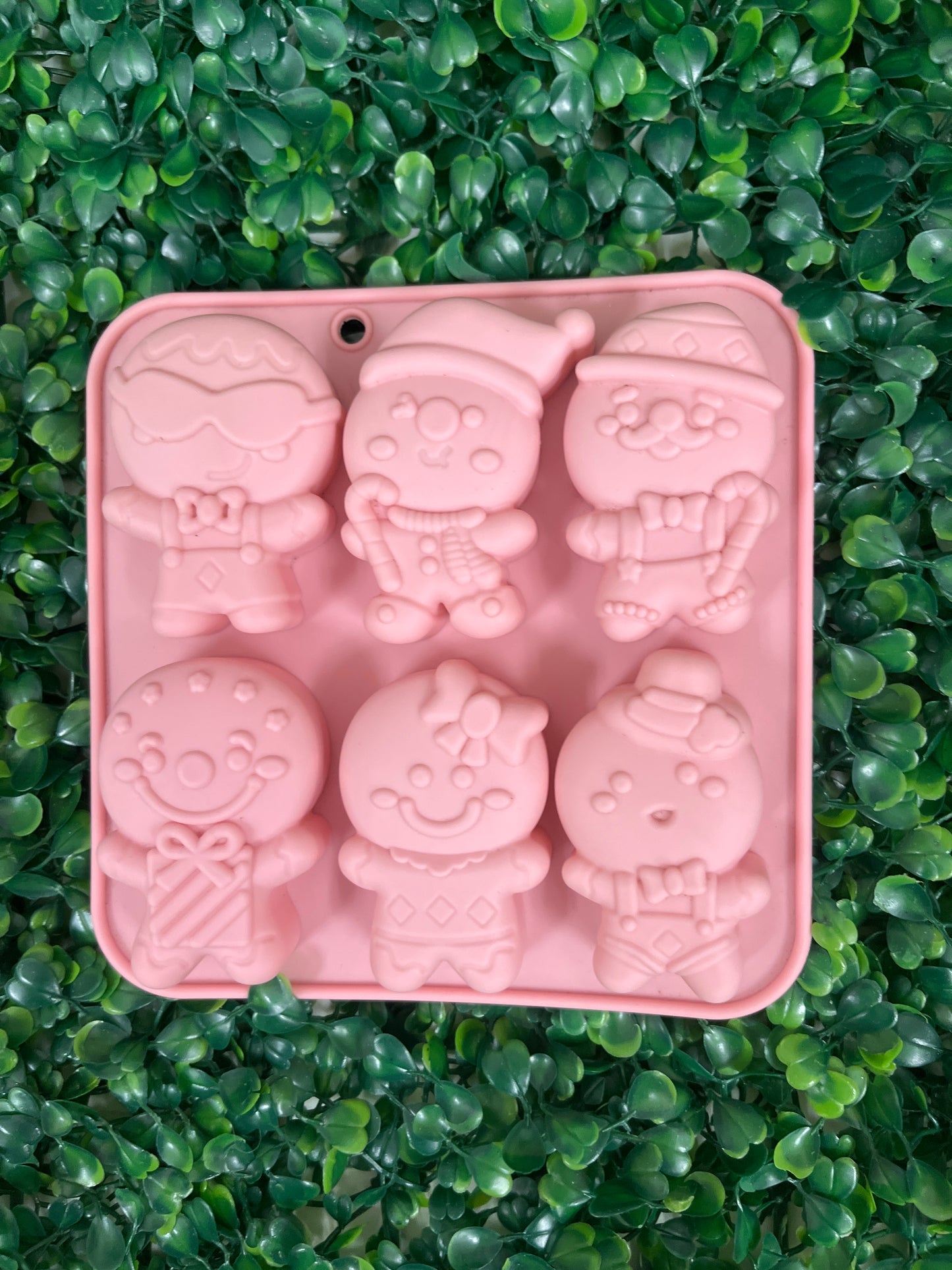 Molde silicona Jengibre