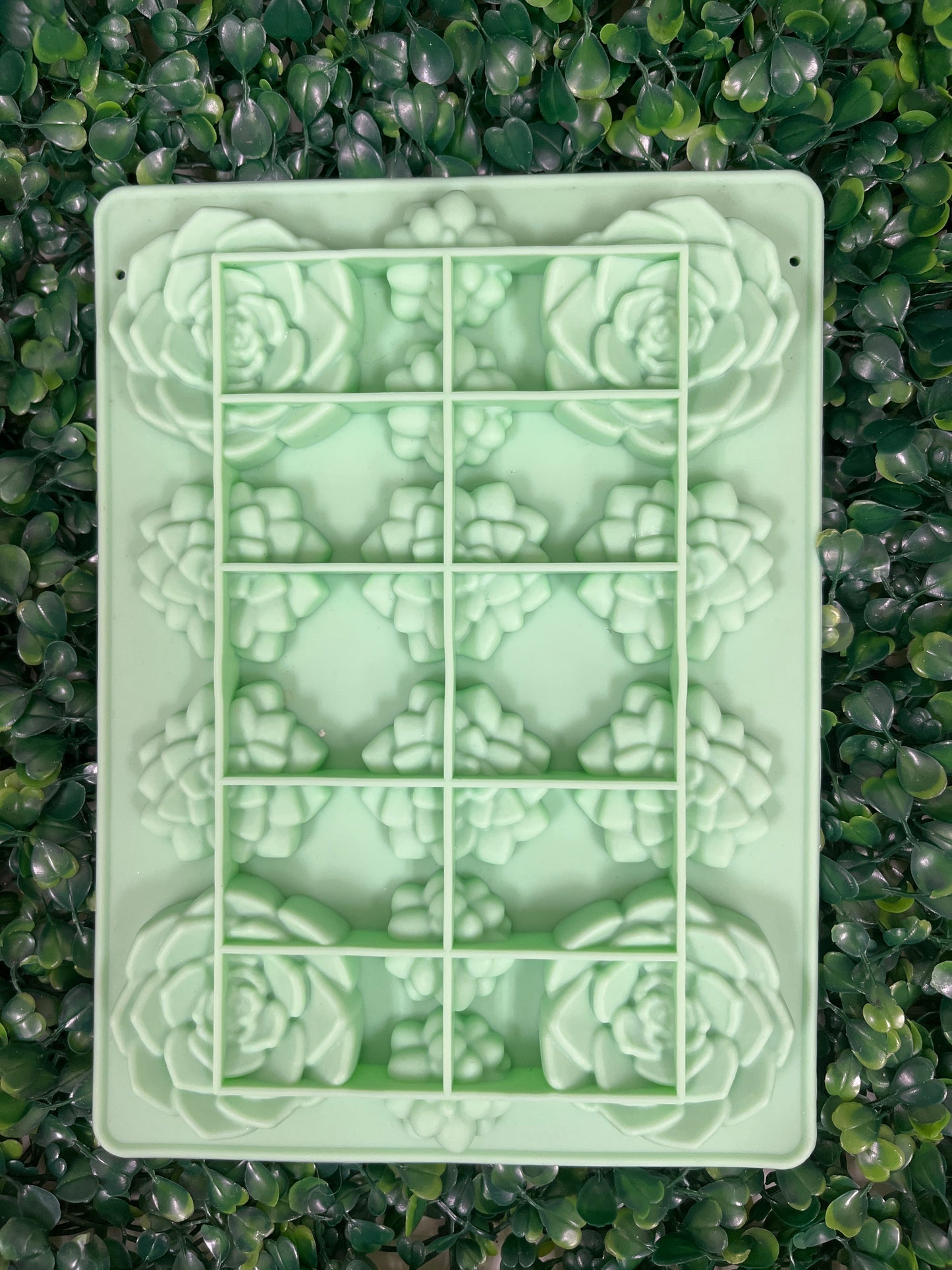 Molde de silicona suculentas verde