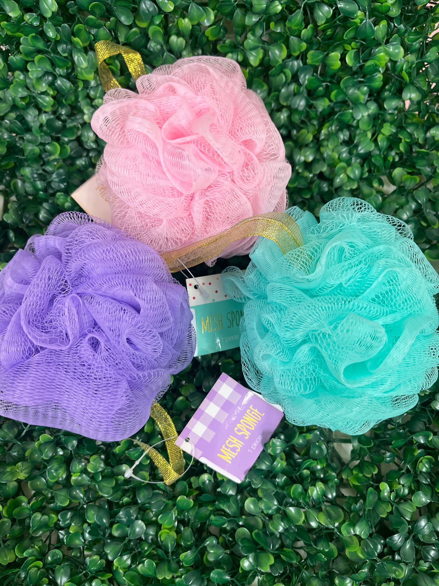 Esponjas de Nylon