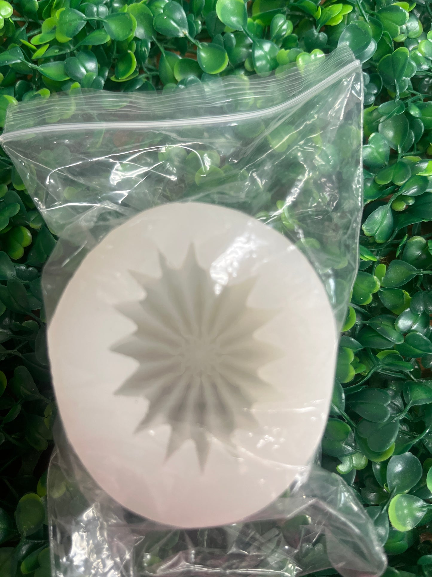 Molde silicona Suculenta