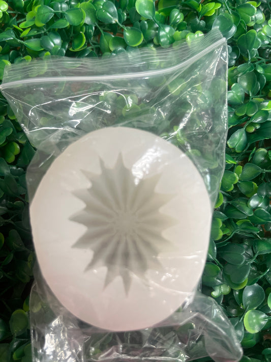 Molde silicona Suculenta