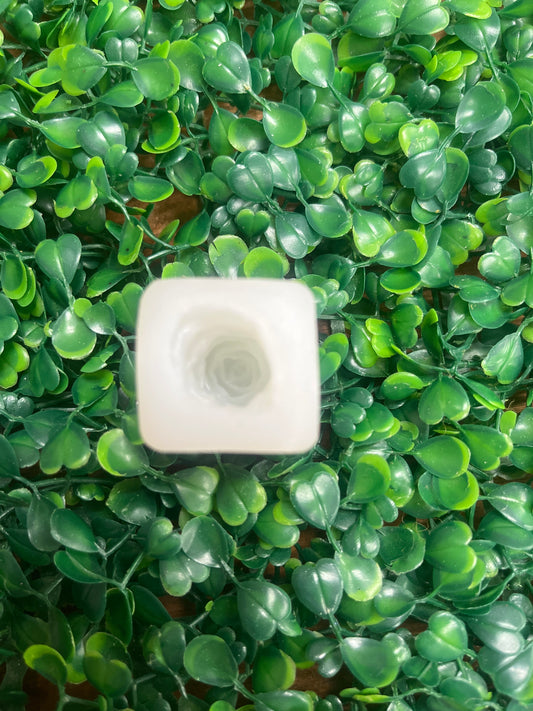 Molde silicona Suculenta