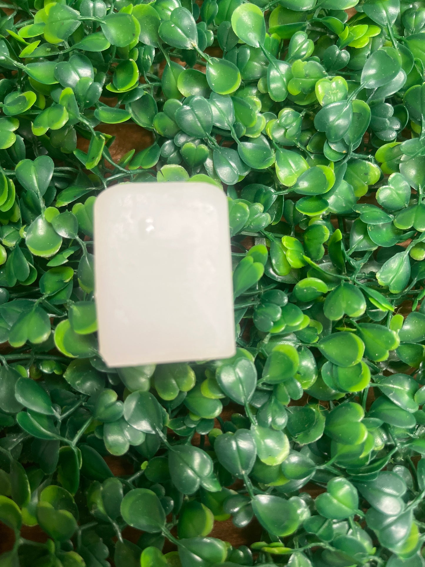 Molde silicona Suculenta