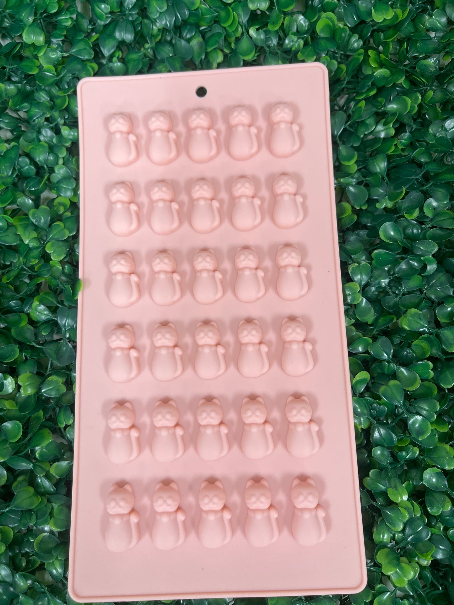 Molde Silicona Gatitos