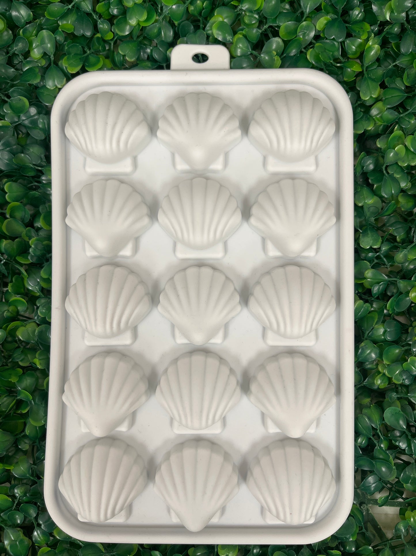 Molde Silicona Conchas de Mar