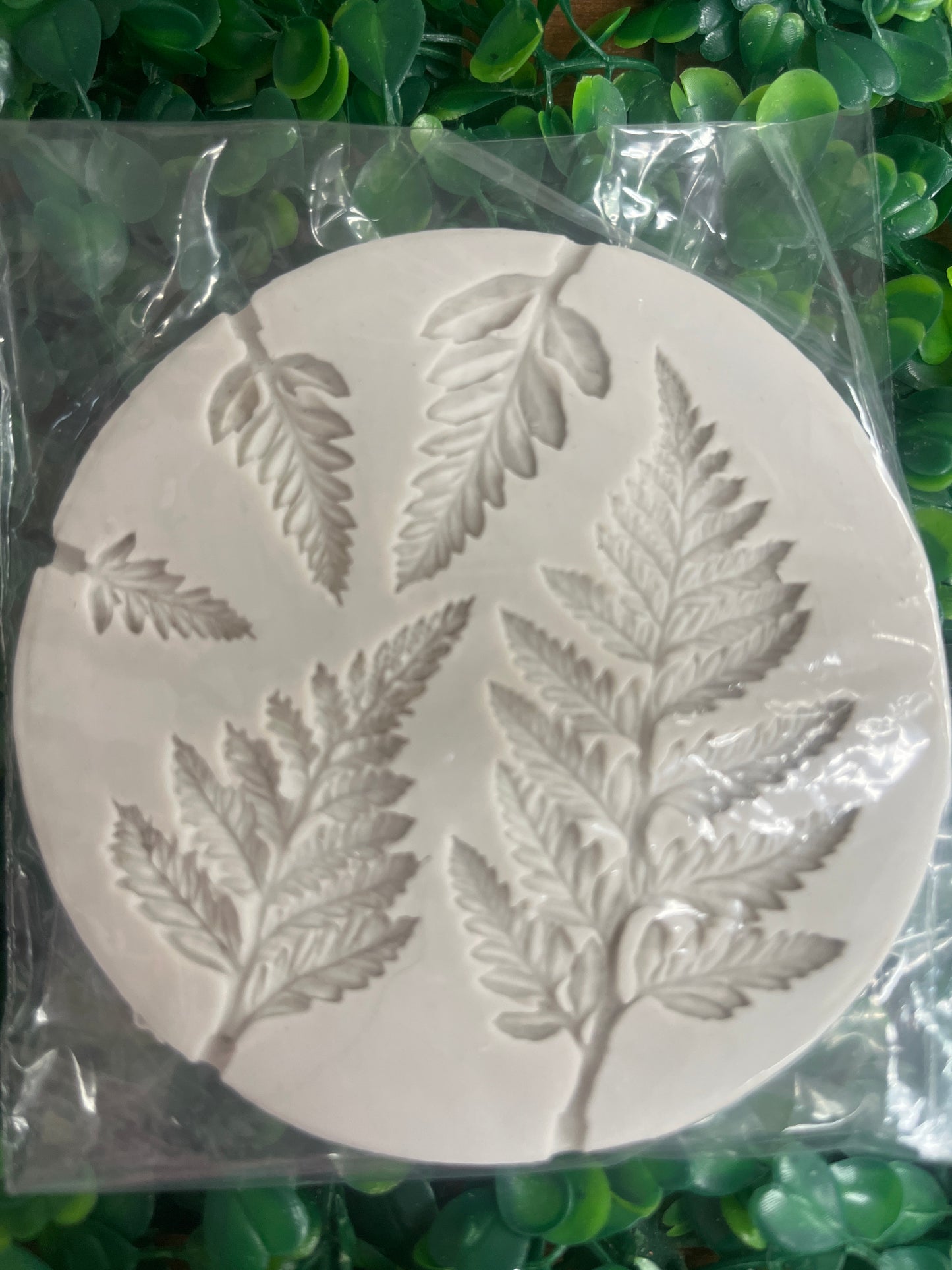 Molde silicona Helechos