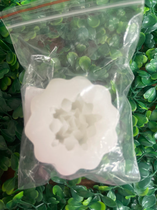 Molde silicona Suculenta