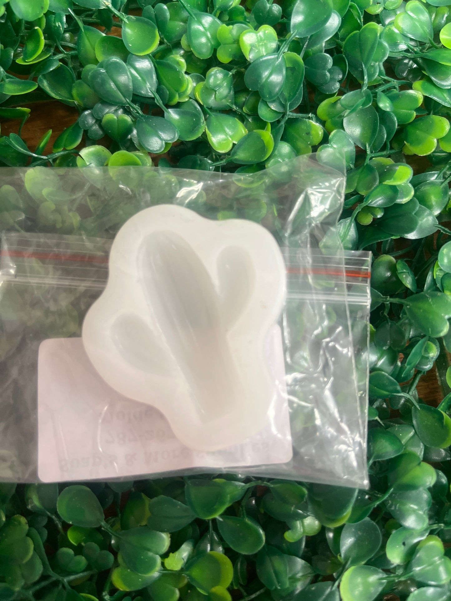 Molde silicona Cactus