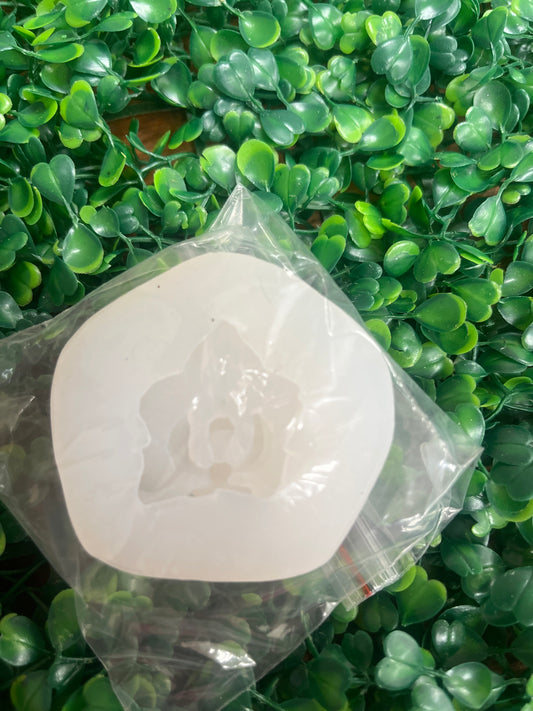 Molde silicona Orquídea