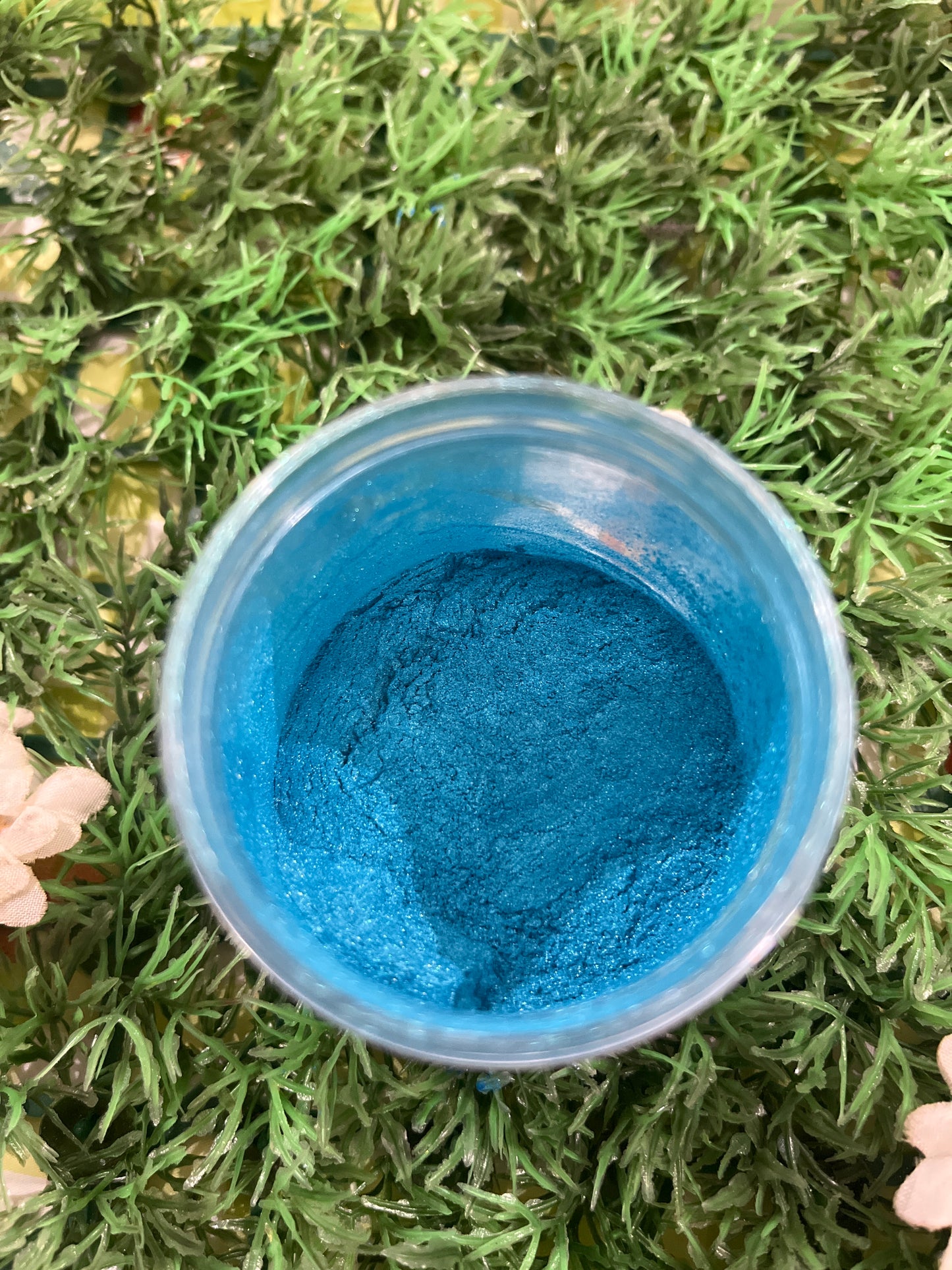 Mica Proud peacock