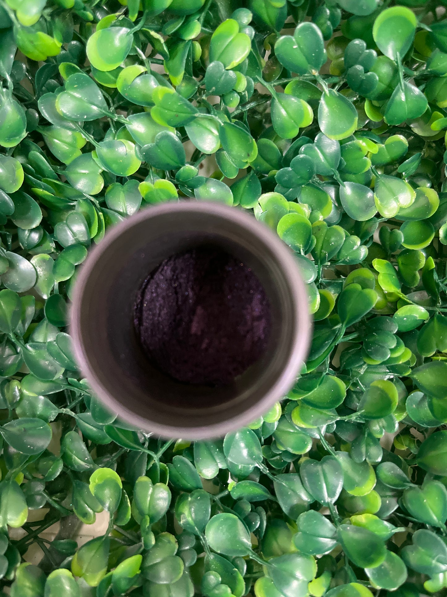 NS BlackBerry Mica