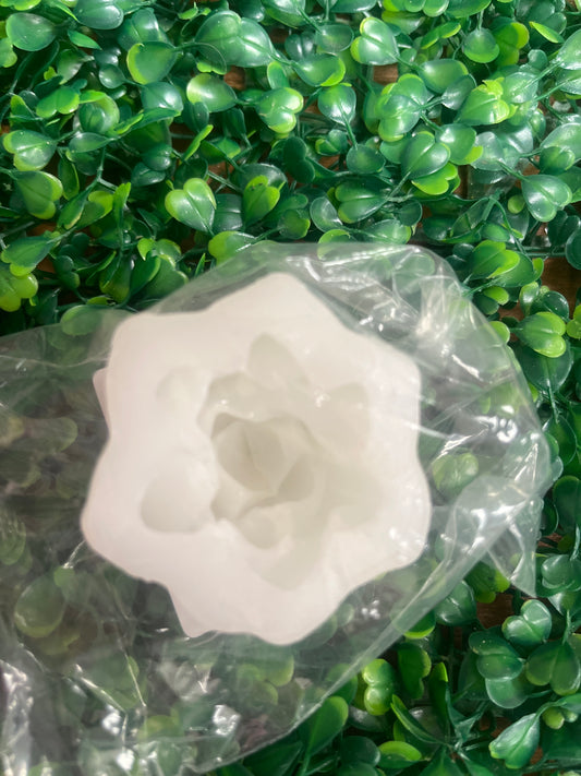 Molde silicona Suculenta