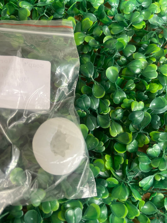 Molde silicona Suculenta