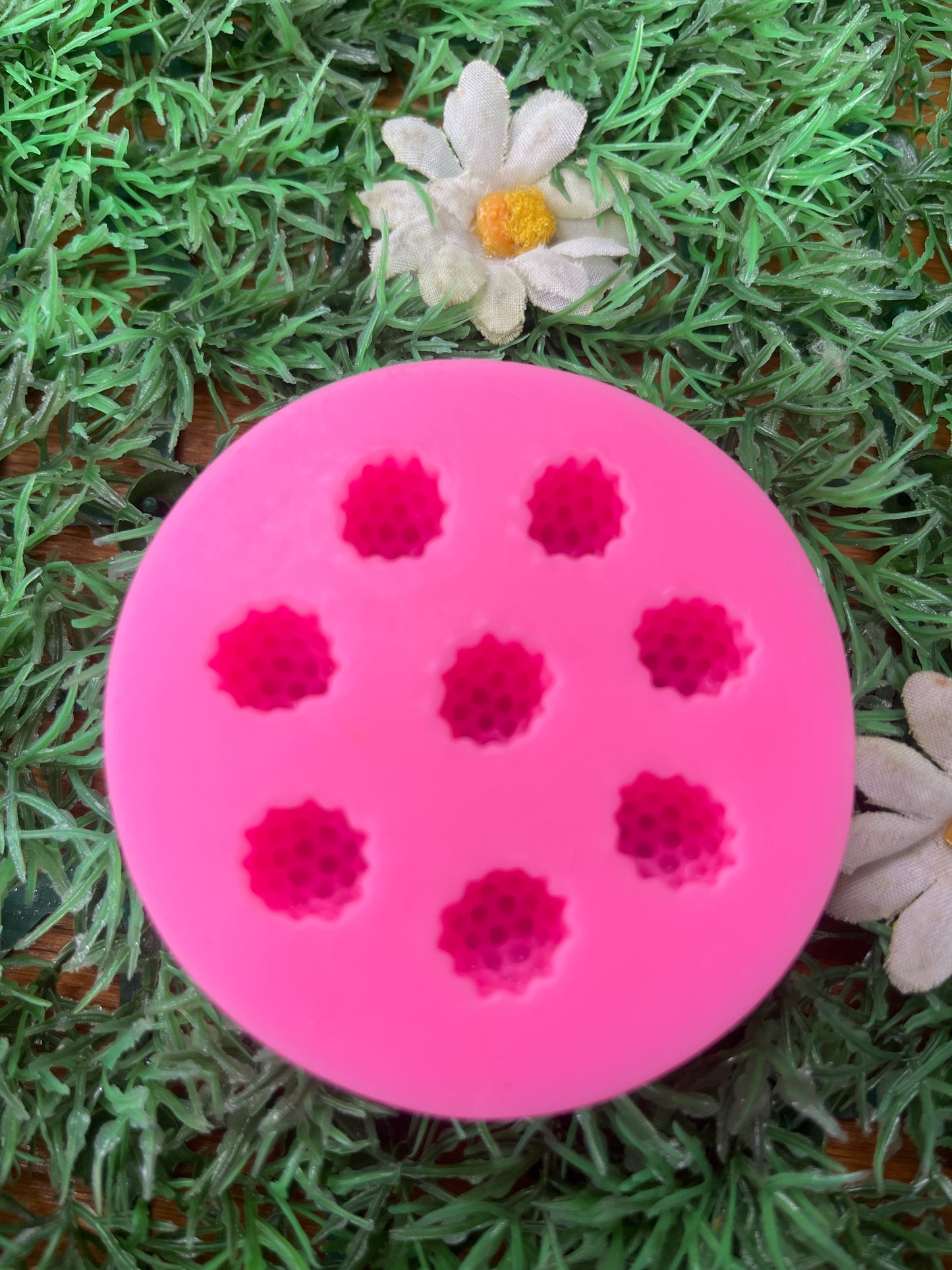 Molde silicona Fresas