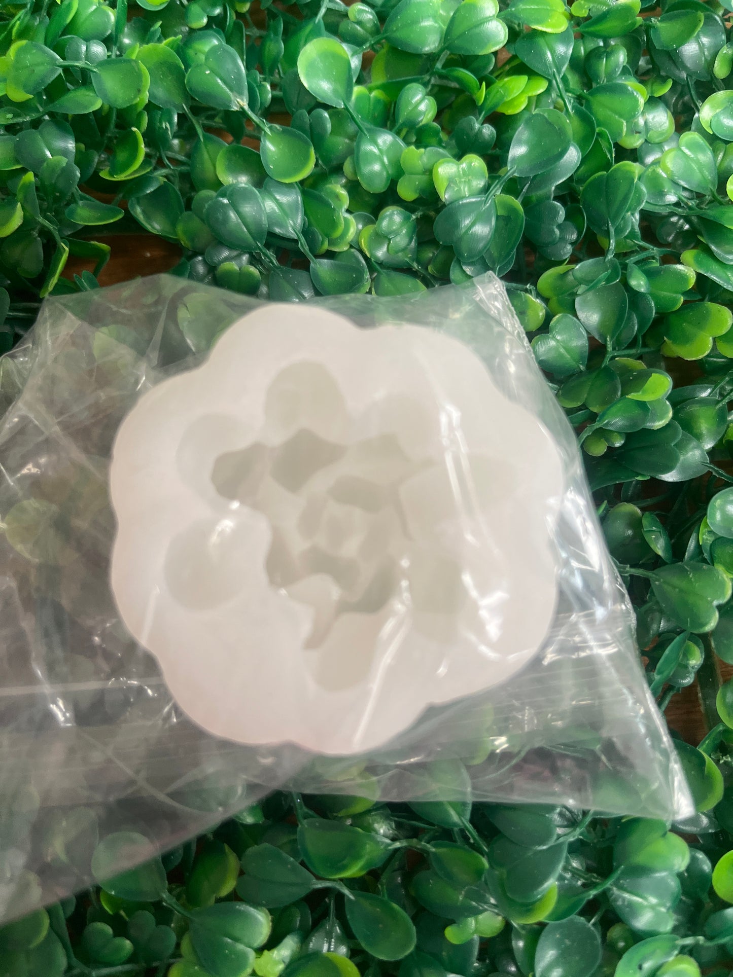 Molde silicona Suculenta