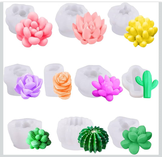 Set moldes velas suculentas