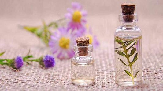 Taller Perfumería Artesanal