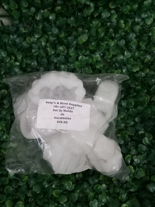 Molde suculentas 12 piezas